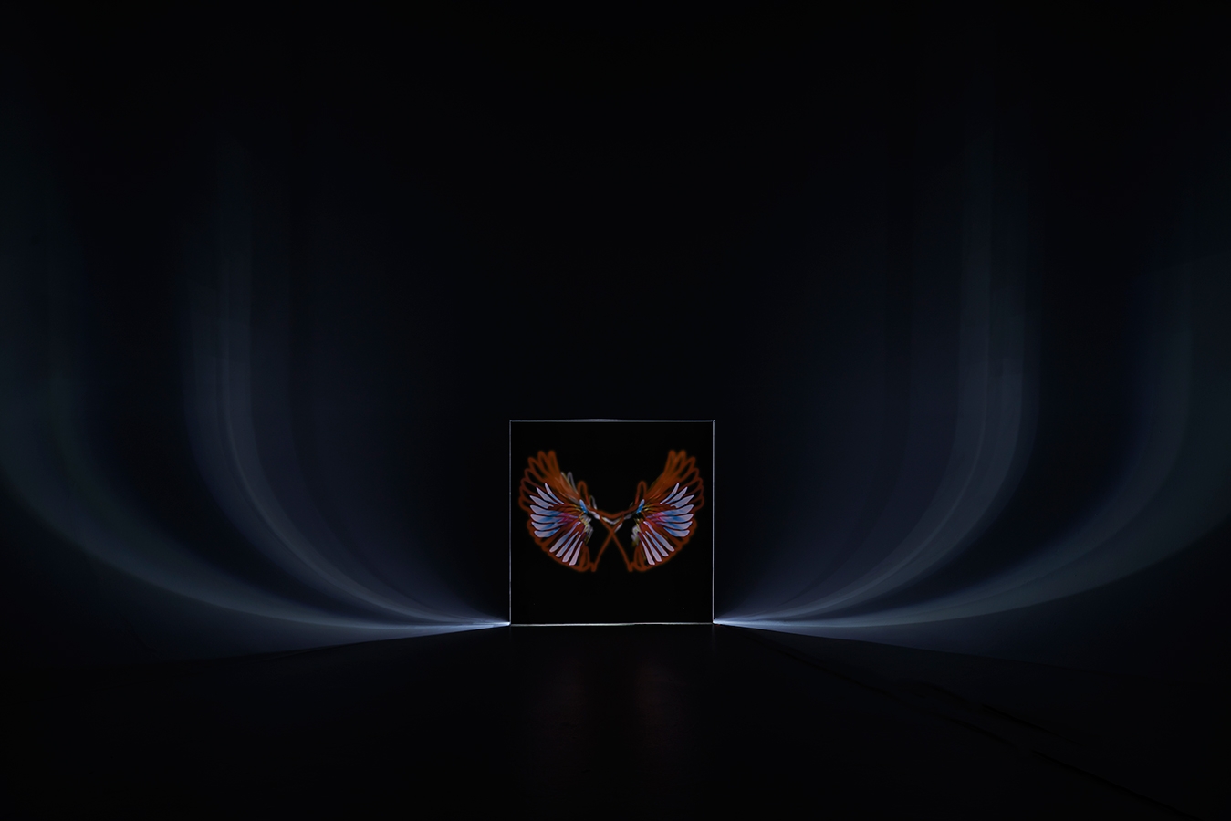 http://mattblackphoto.server101.com/files/gimgs/th-7_w20236.jpg